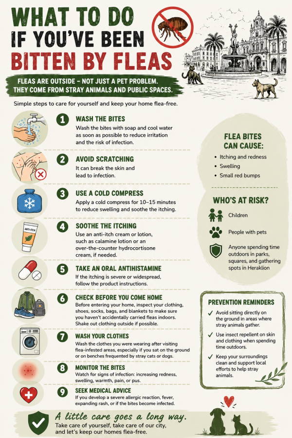 flea bites infographic