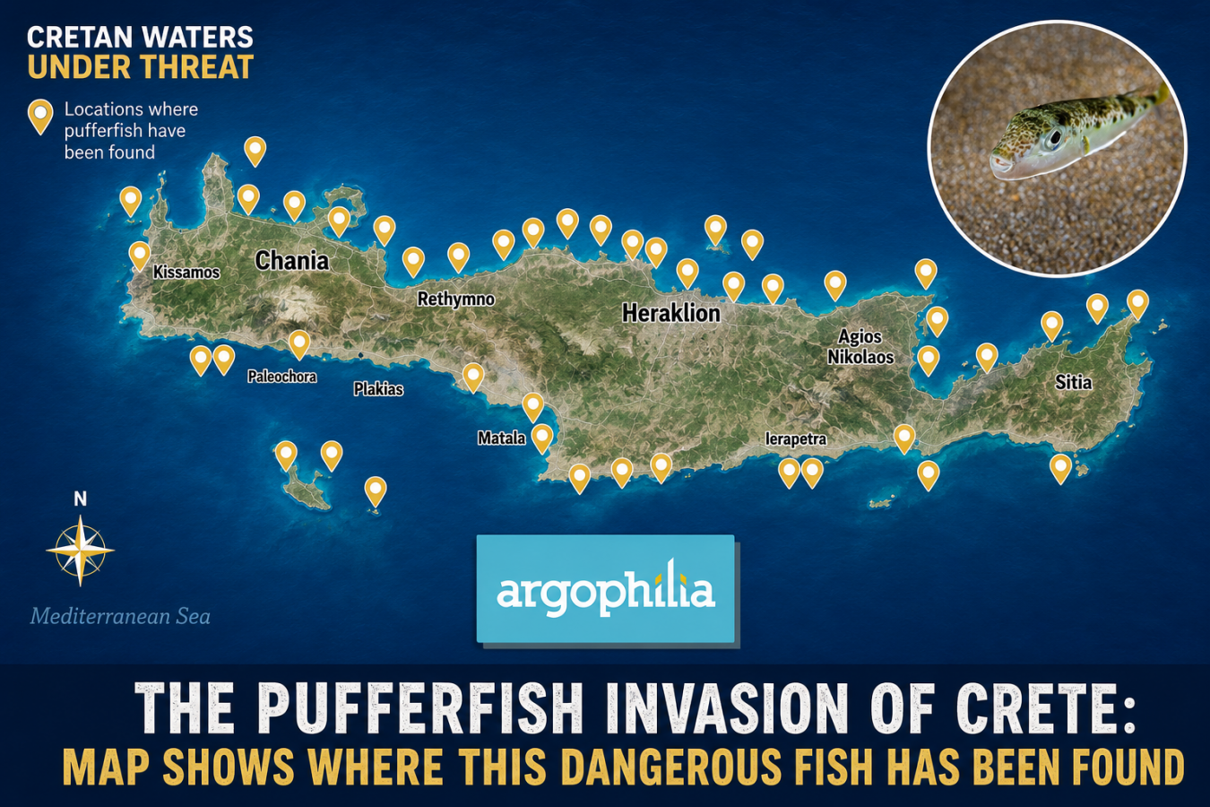 pufferfish invasion of Crete