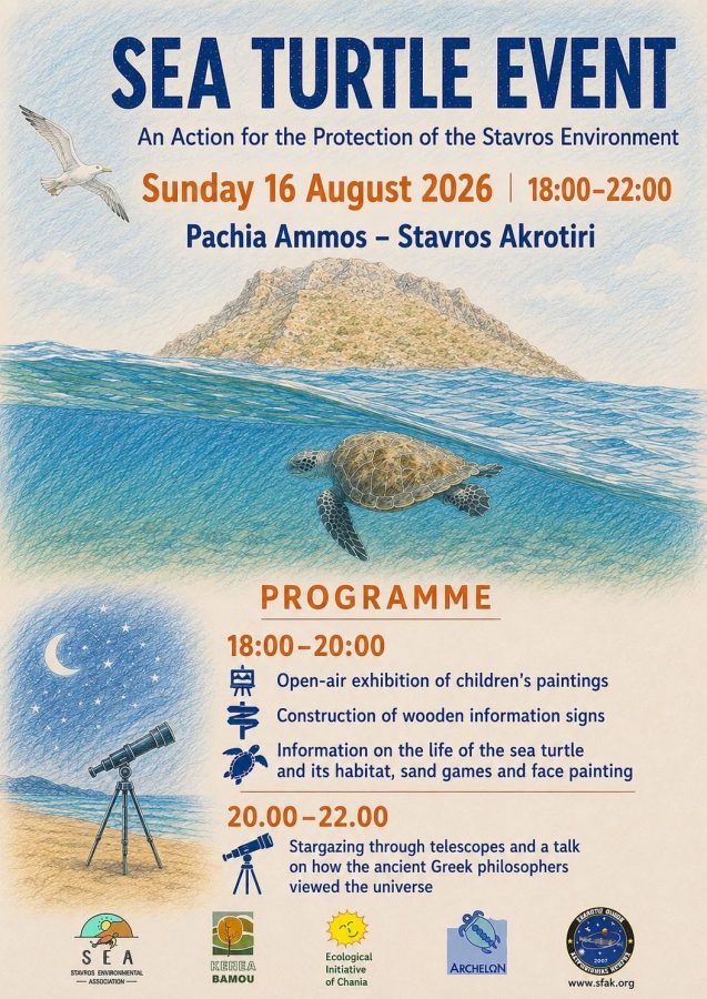 Sea Turtle Festival poster