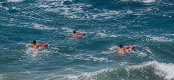 swimmers rescued