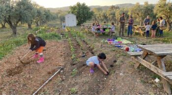 Attica Open Farm Days 2026