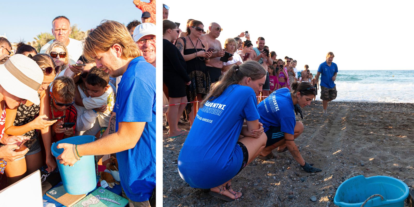 Crete Turtle-Friendly Hotel certification event