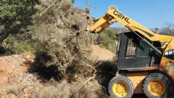 Crews clear overgrown roadside vegetation Lasithi