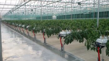 Ierapetra greenhouse sector