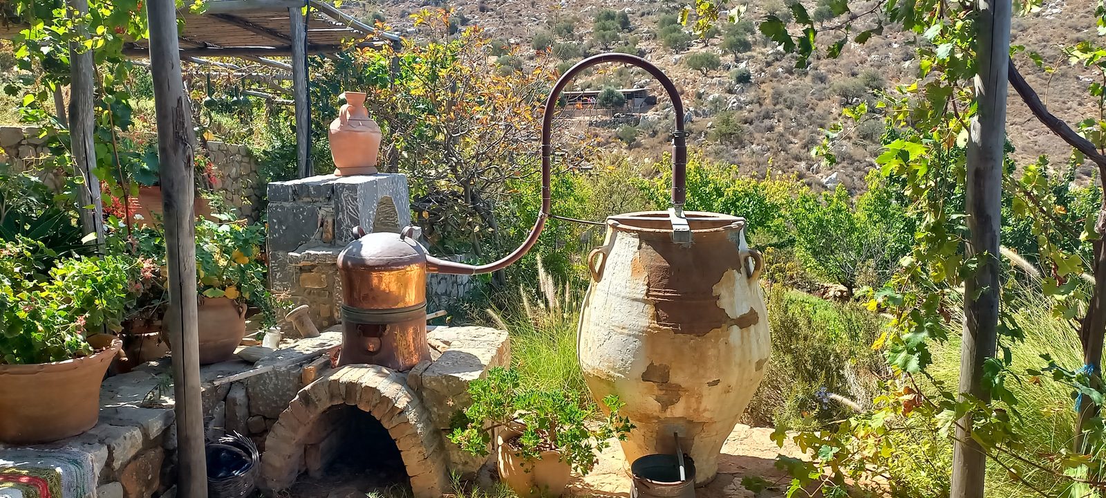 Peskesi Organic Farm kazani.