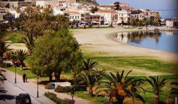 Rethymno tourist trees