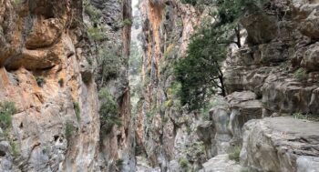 Samaria Gorge monk rescue