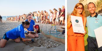Turtle-Friendly Hotel Crete