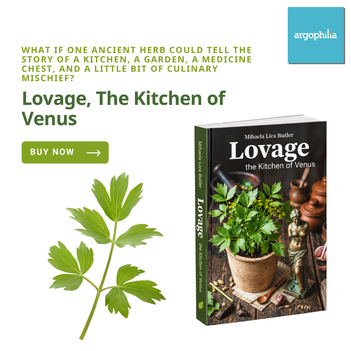 Lovage, The Kitchen of Venus