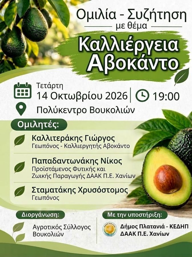 Chania Avocado event