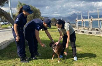 Crete Police Against Animal Welfare Violations