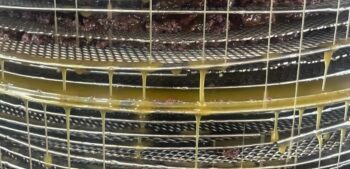 Crete olive oil production