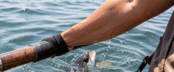 Missing Spearfisher