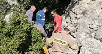 Sitia dog rescue firefighters