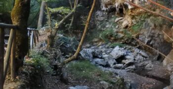 Three German Tourists Die